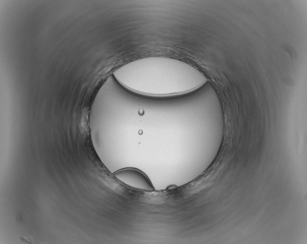 X0000113070240200908281017