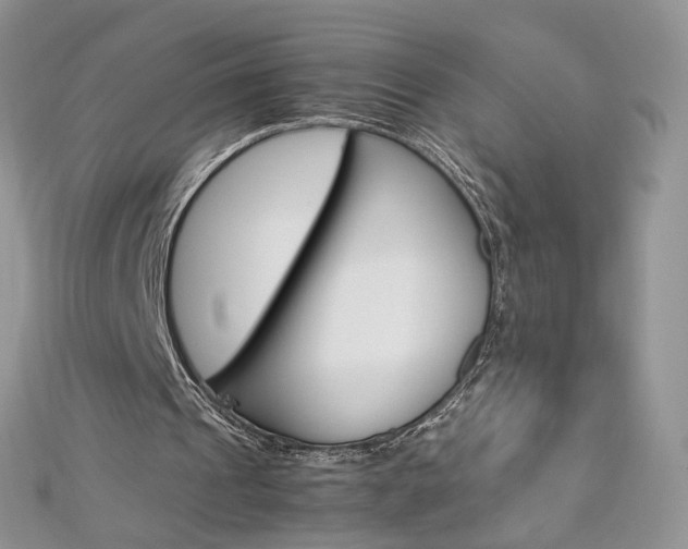 X0000113070241200908281016