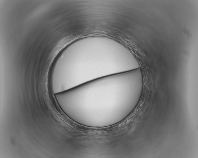 X0000113070242200908281016