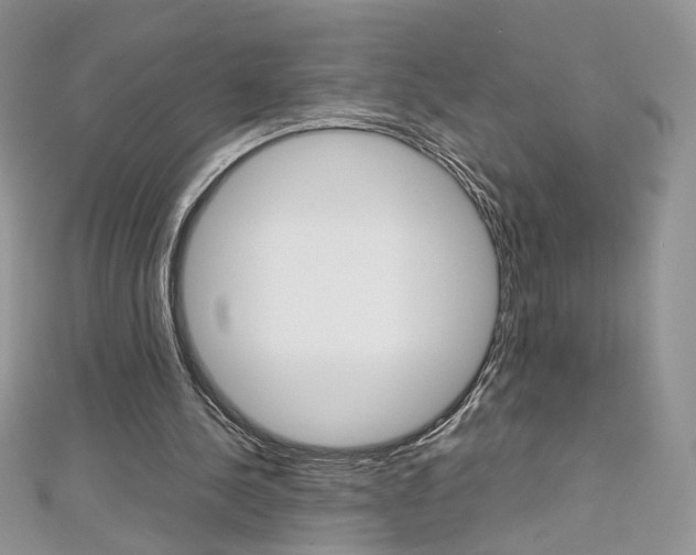 X0000113070244200908281016