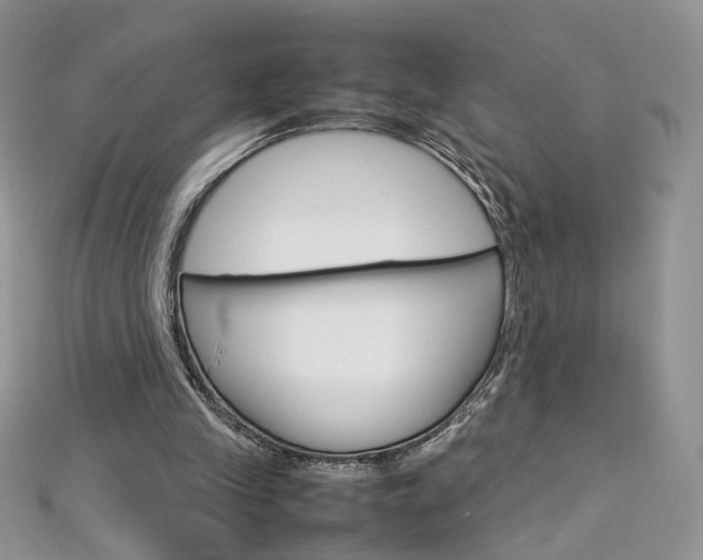 X0000113070245200908281016