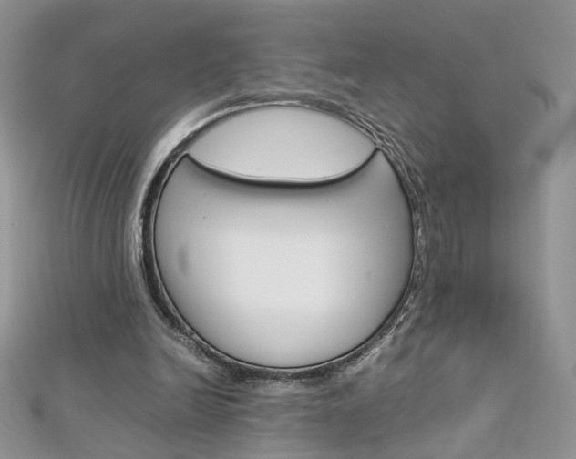 X0000113070246200908281016