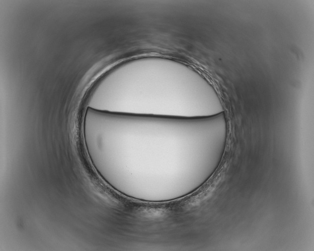 X0000113070247200908281016