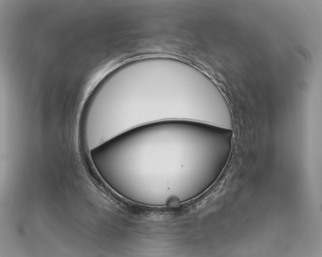 X0000113070248200908281016