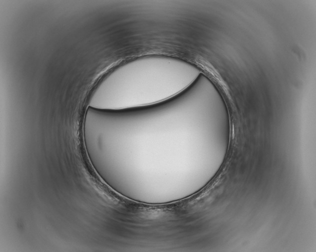 X0000113070249200908281016