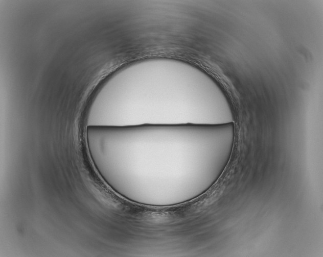 X0000113070250200908281017