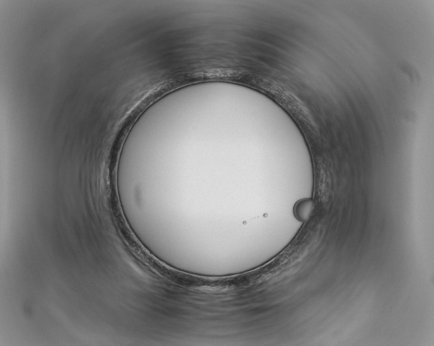 X0000113070251200908281017