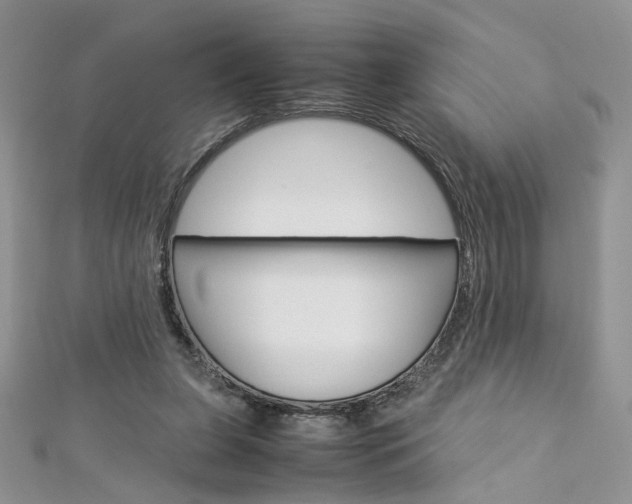 X0000113070255200908281017