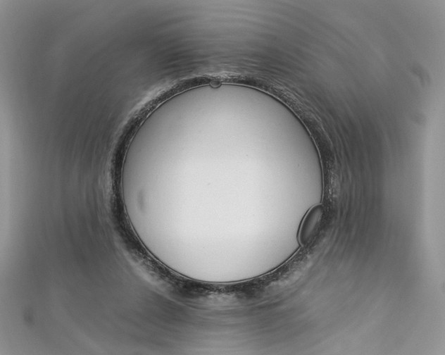X0000113070256200908281017