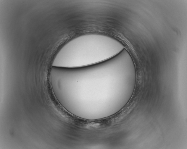 X0000113070257200908281017