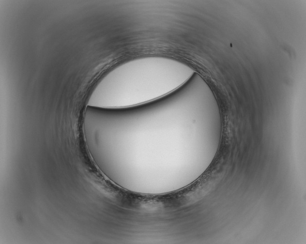 X0000113070258200908281017