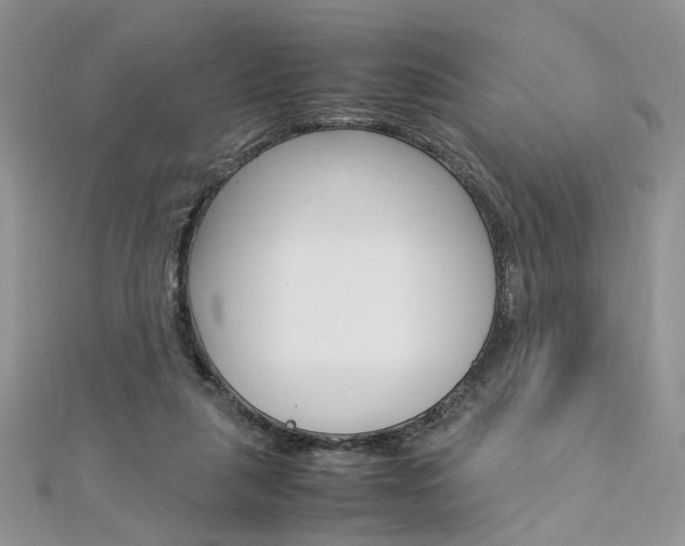 X0000113070259200908281017