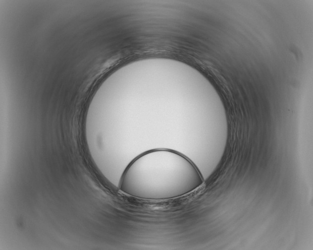 X0000113070260200908281017