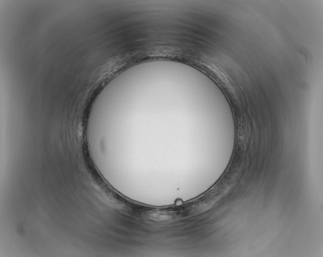 X0000113070261200908281017