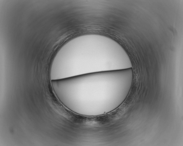 X0000113070262200908281017