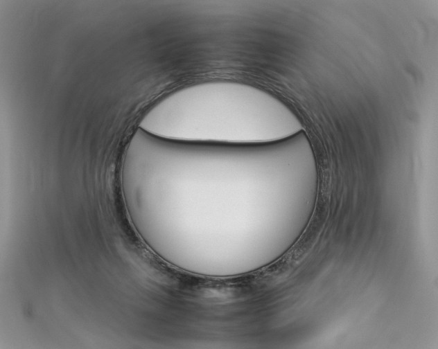 X0000113070263200908281017