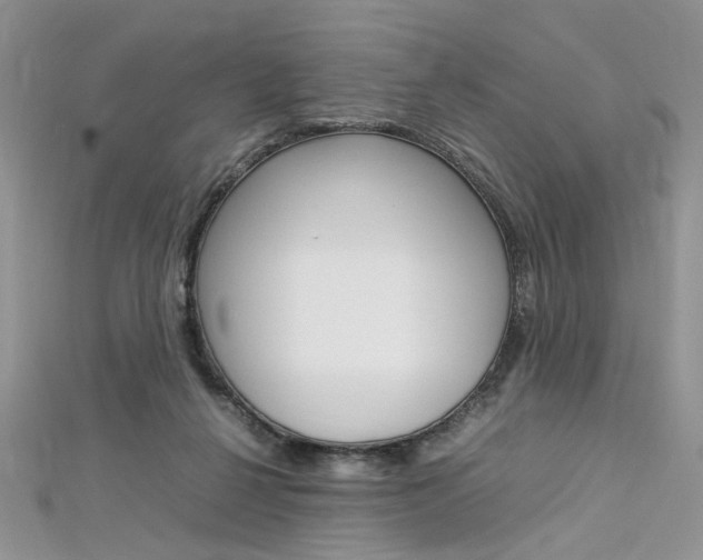 X0000113070264200908281017