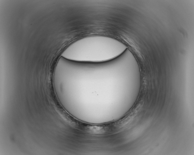 X0000113070265200908281017