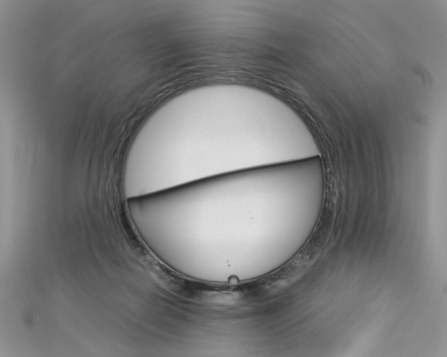 X0000113070266200908281017