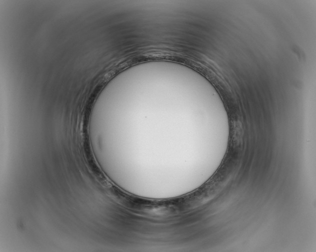 X0000113070267200908281017