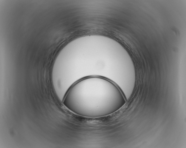 X0000113070268200908281017