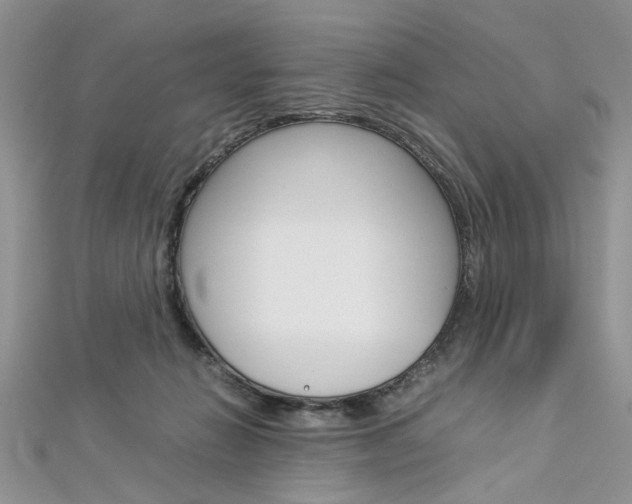 X0000113070270200908281017