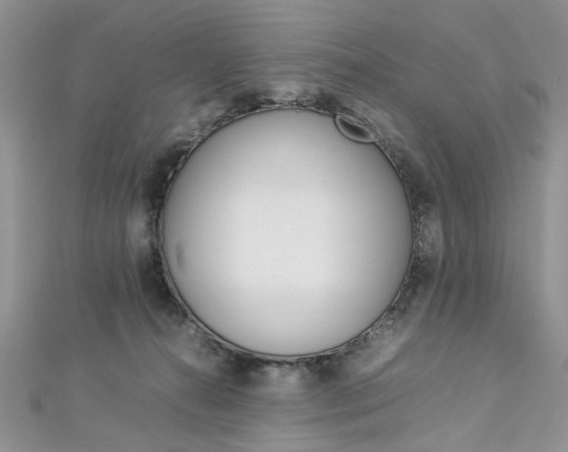 X0000113070272200908281017