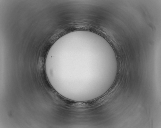 X0000113070273200908281017
