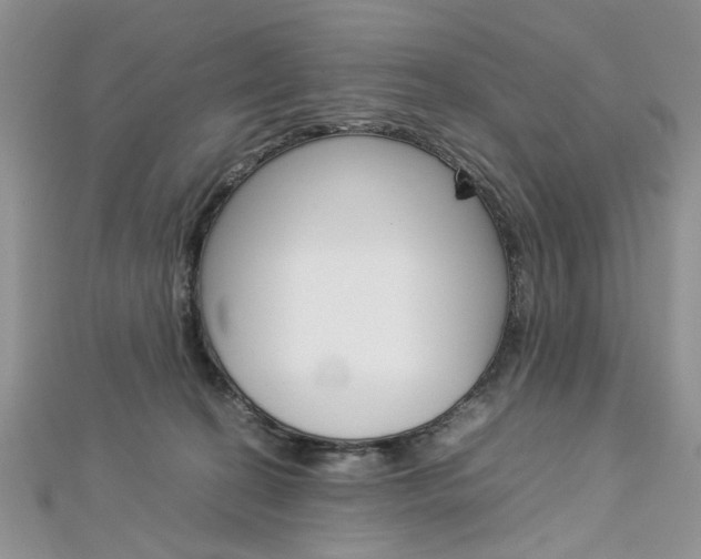 X0000113070274200908281017