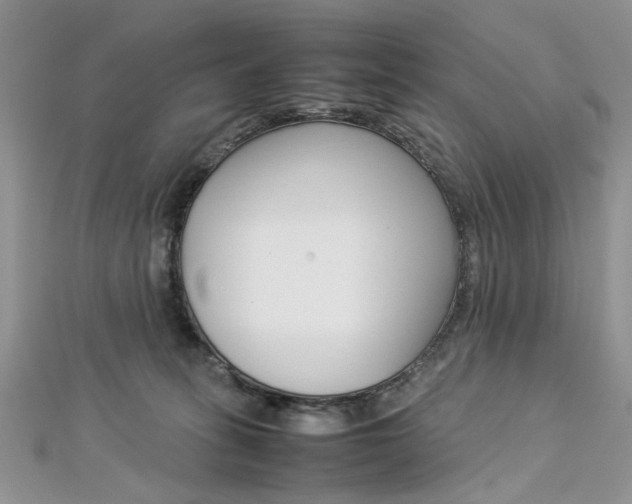 X0000113070275200908281017
