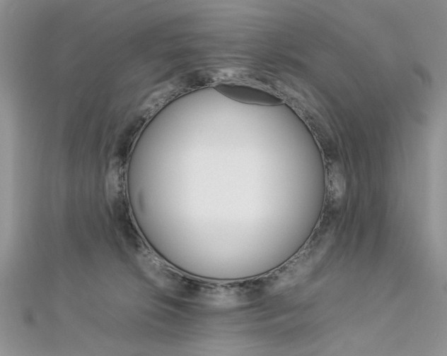 X0000113070276200908281017
