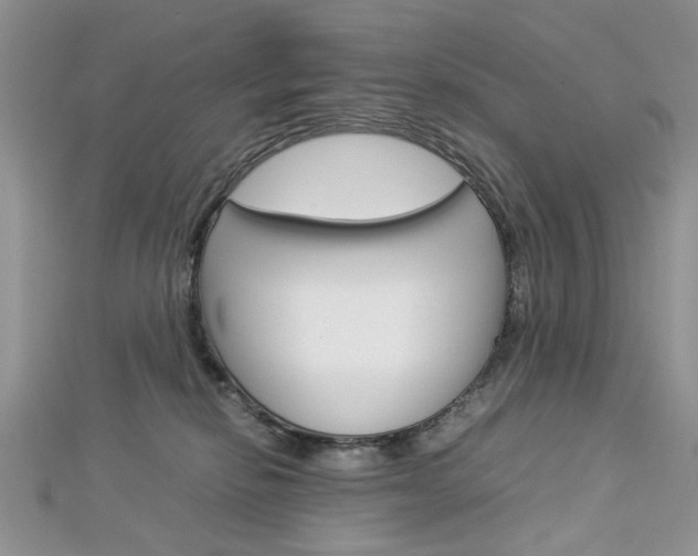 X0000113070278200908281017