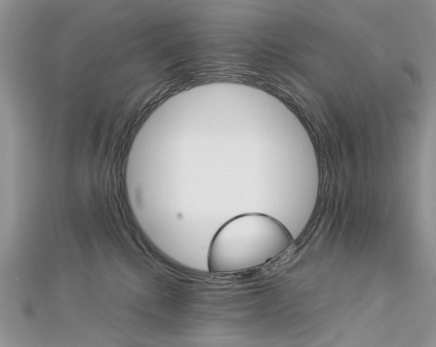 X0000113070280200908281017