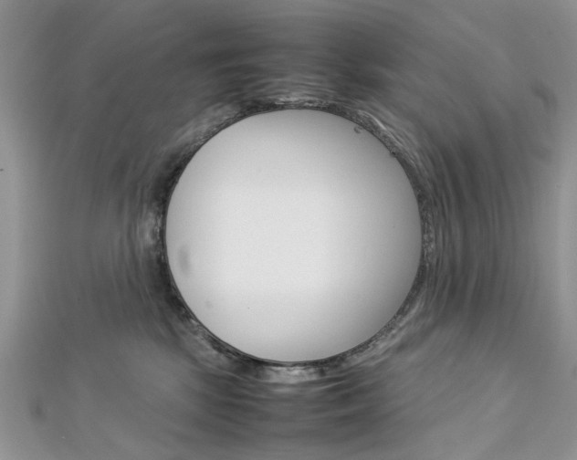 X0000113070281200908281017