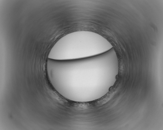 X0000113070282200908281017