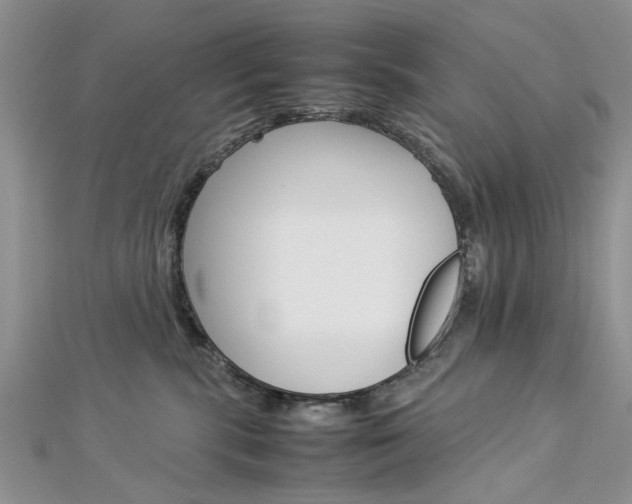 X0000113070283200908281017