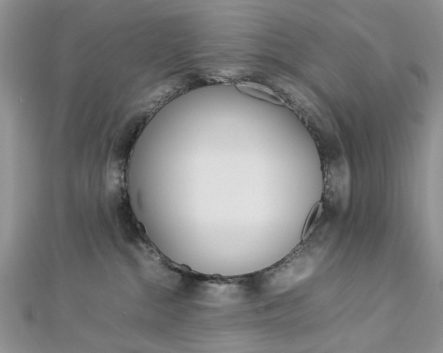 X0000113070284200908281017