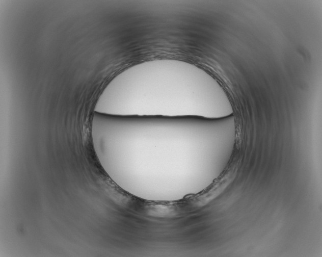 X0000113070285200908281017