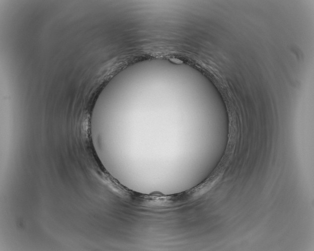 X0000113070288200908281017