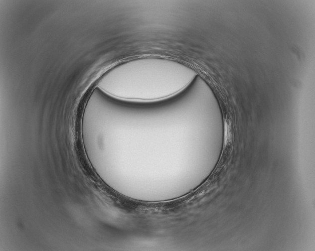 X0000113070291200908281016