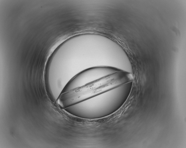 X0000113070292200908281016