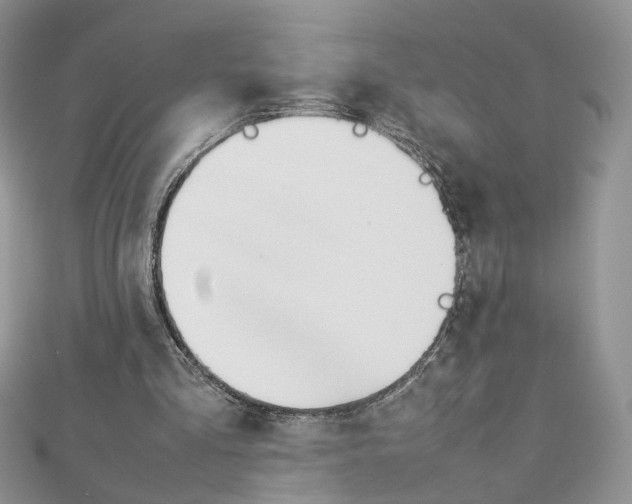 X0000113070293200908281016