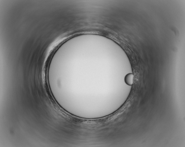 X0000113070294200908281016