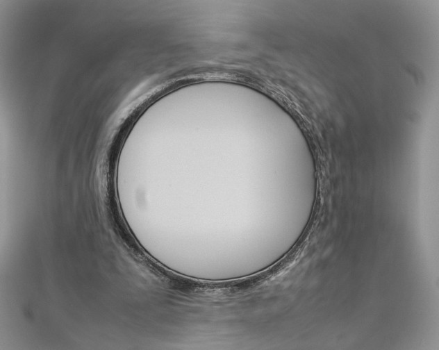 X0000113070295200908281016