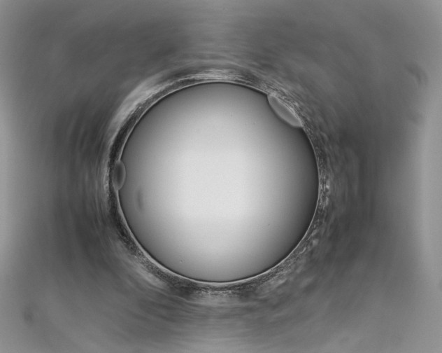 X0000113070296200908281016