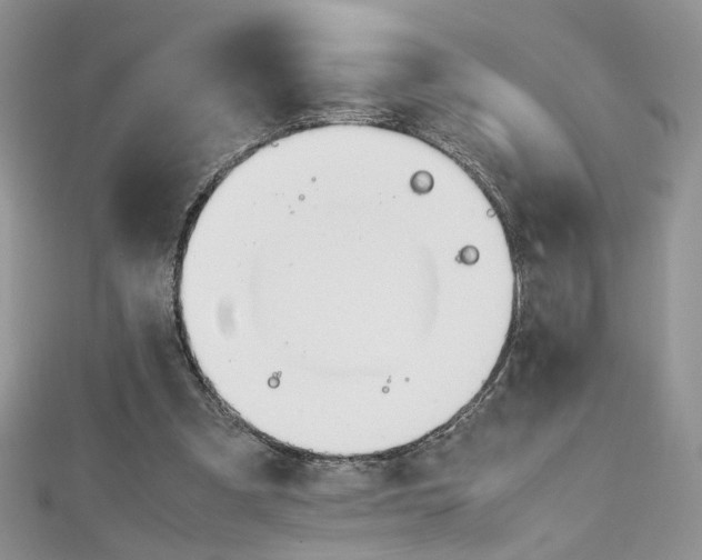 X0000113070297200908281016