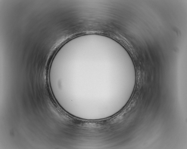 X0000113070298200908281016