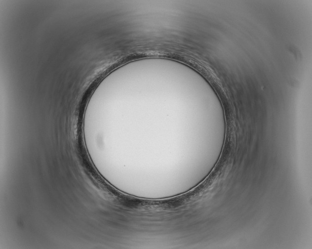 X0000113070299200908281016