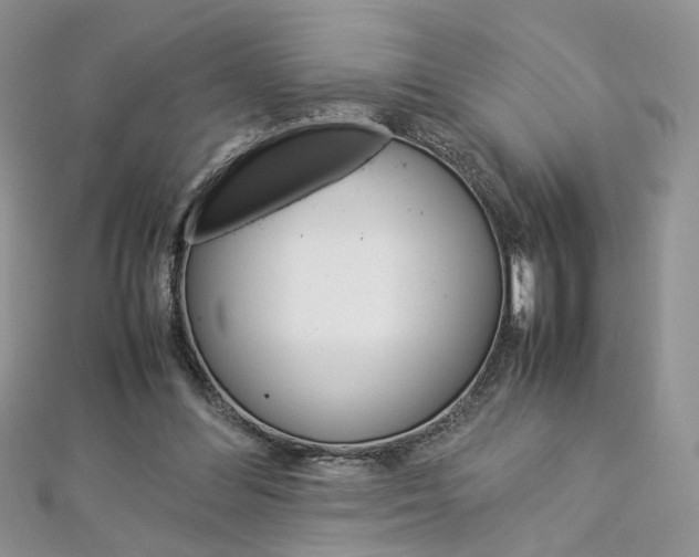 X0000113070300200908281016