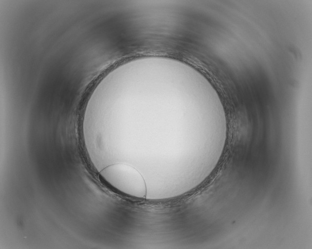 X0000113070302200908281016